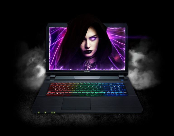 Picture of 15.6" Full HD IPA Panel, 8GB 1070 nVidia, VR ready